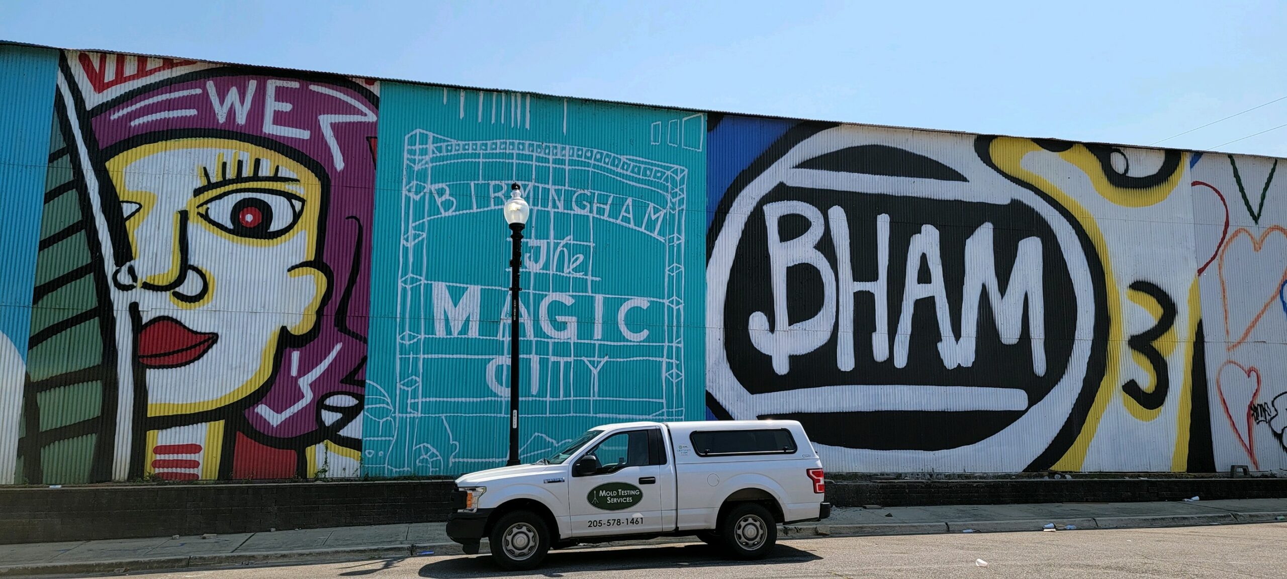 mold testing services