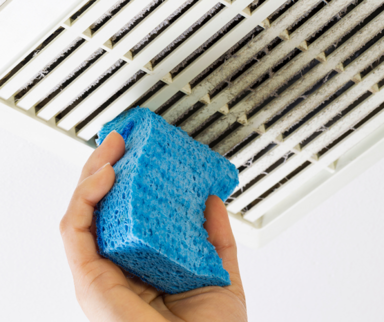 Why You Need a Bathroom Exhaust Fan Mold Testing Services